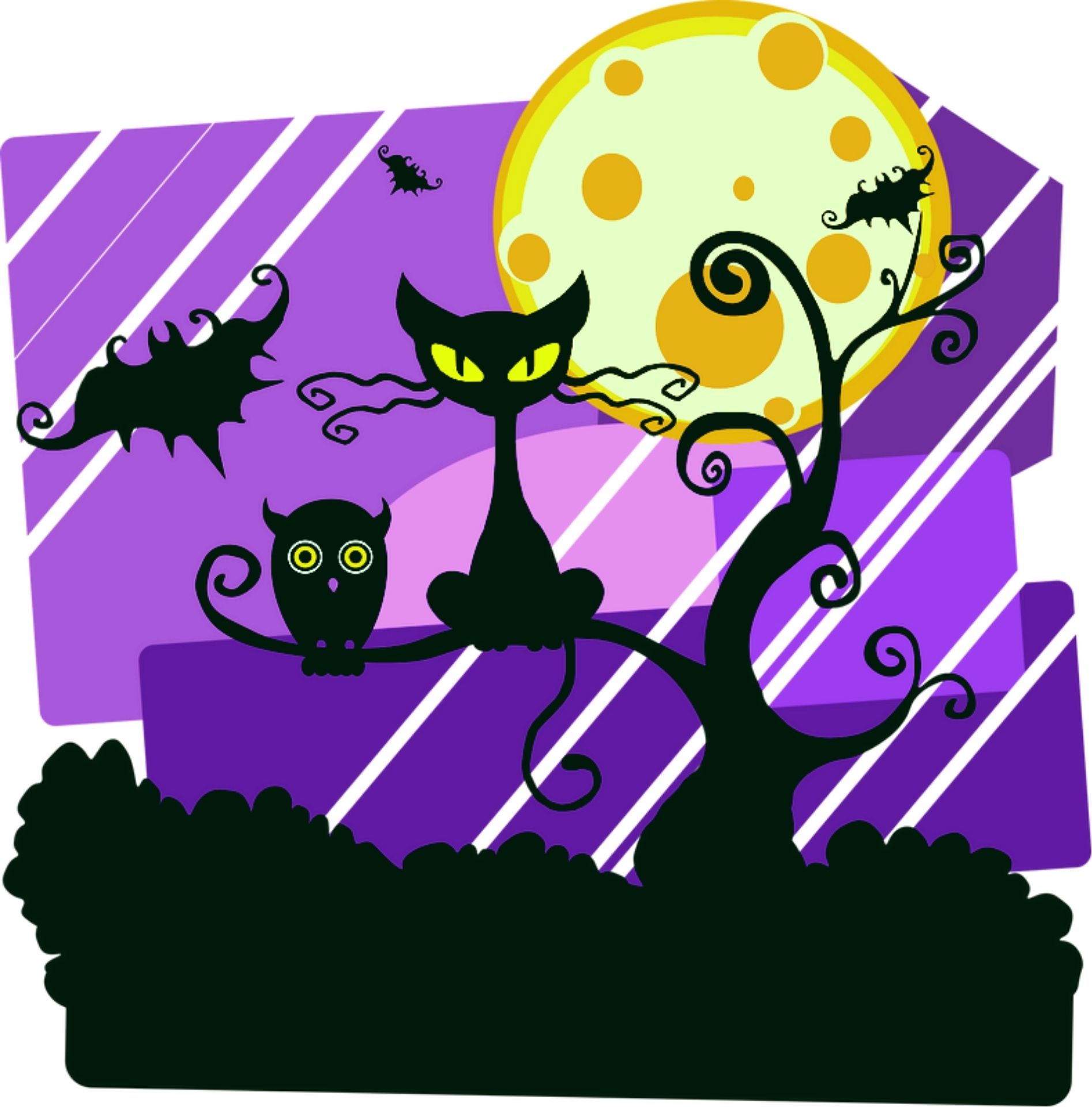 Cats & Bats Family Fun Day